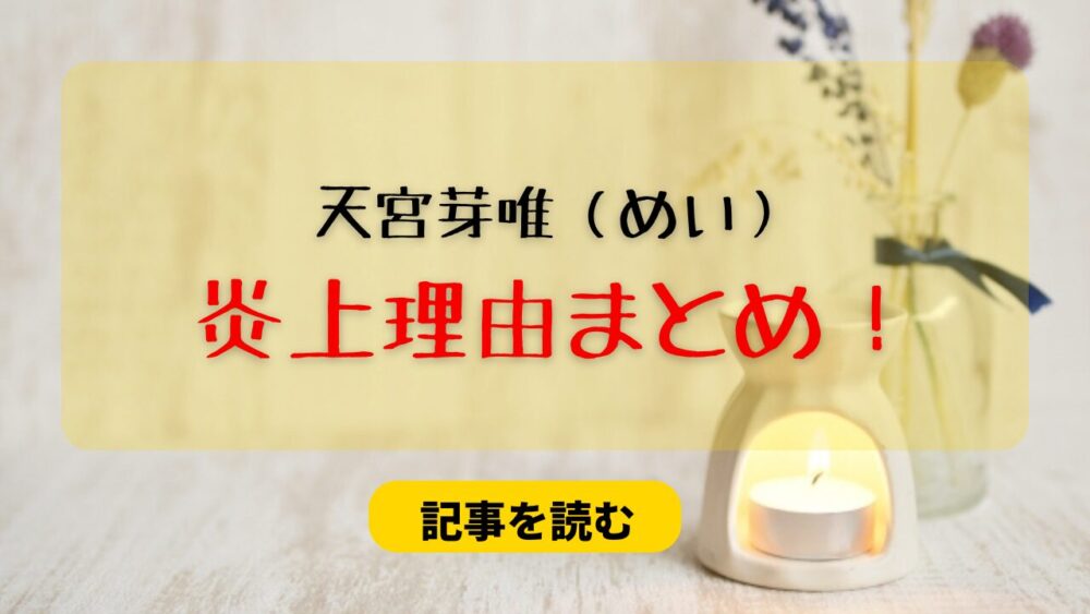 天宮芽唯の炎上理由まとめ！子供の噂はデマ！情報元はどこなの？