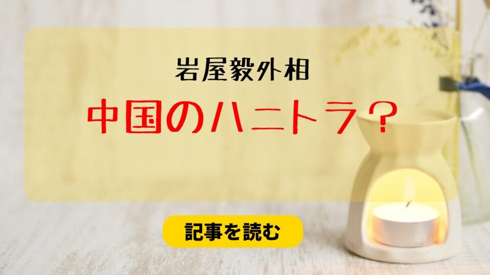 岩屋毅外相は中国のハニトラにかかった？理由3つ！100万賄賂疑惑も